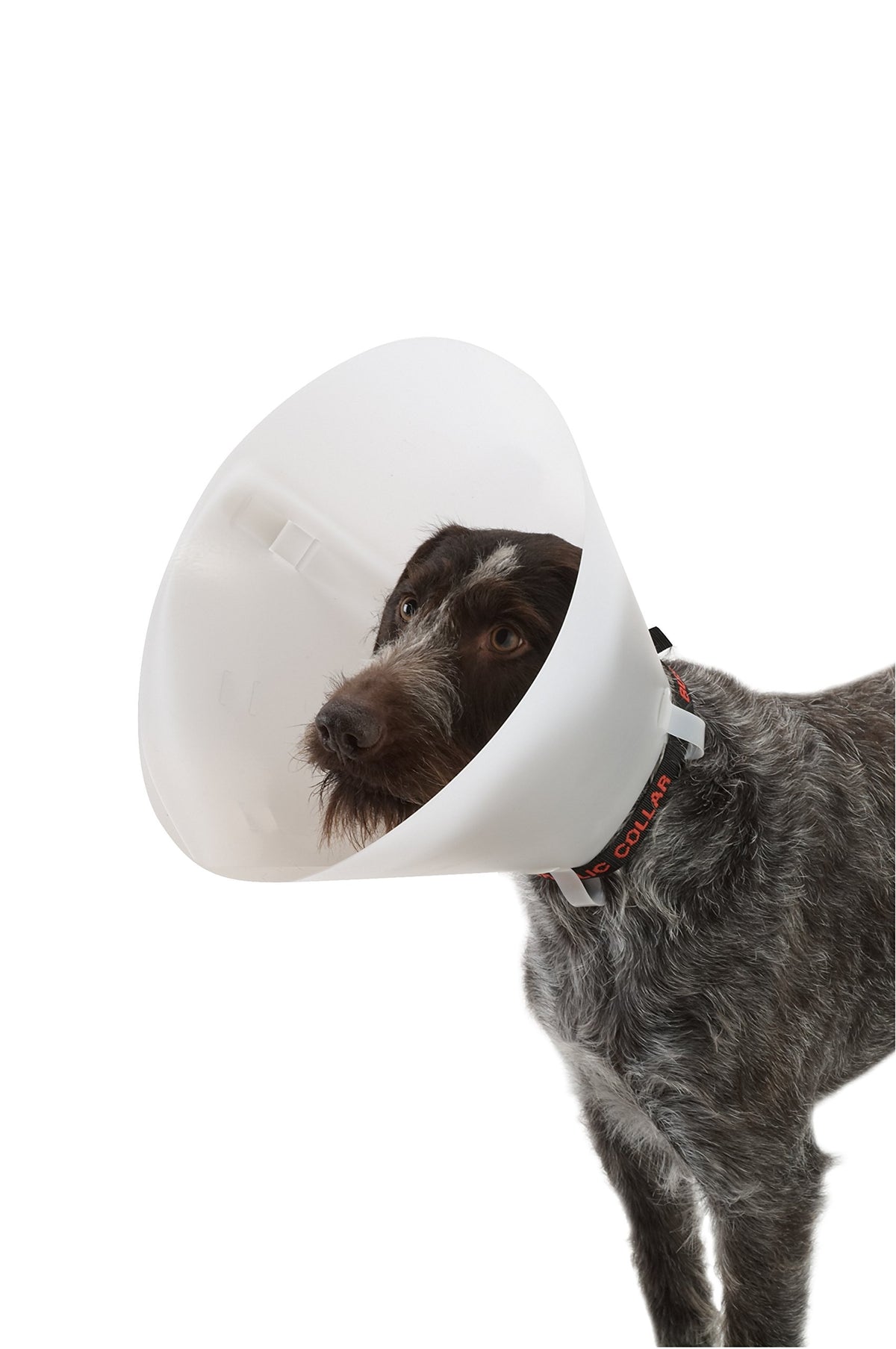 Buster Animal Recovery Collar Cone in 10.0 cm, White