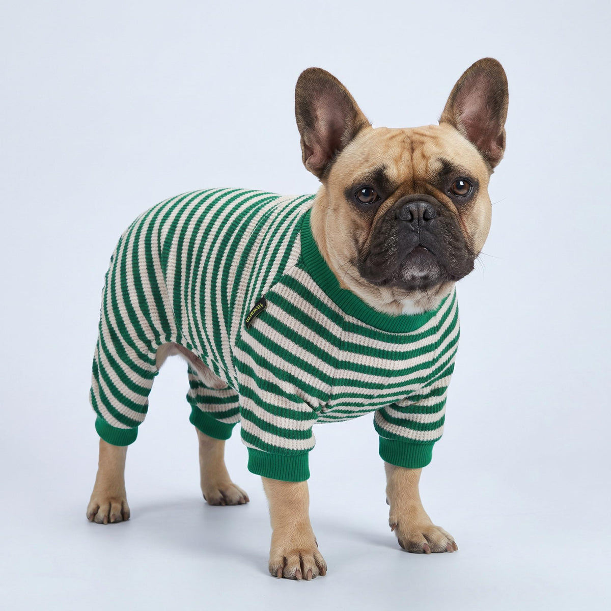 Fitwarm Pet Apparel in X-Small, Green