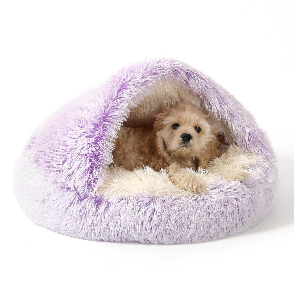 NOYAL Pet Bed Mat in X-Small 15.7'', Gradient Purple