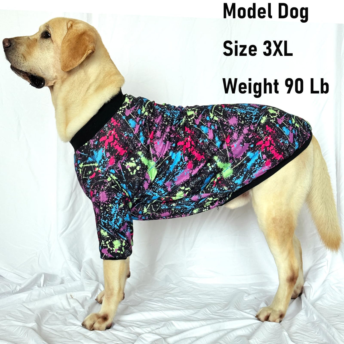 PriPre Pet Apparel in Medium, Graffiti