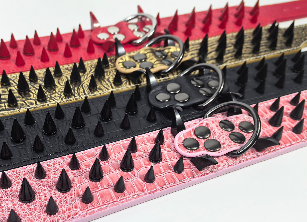 Kawagogo Animal Collar in Width:2'' Adjust:17''-20'', Black