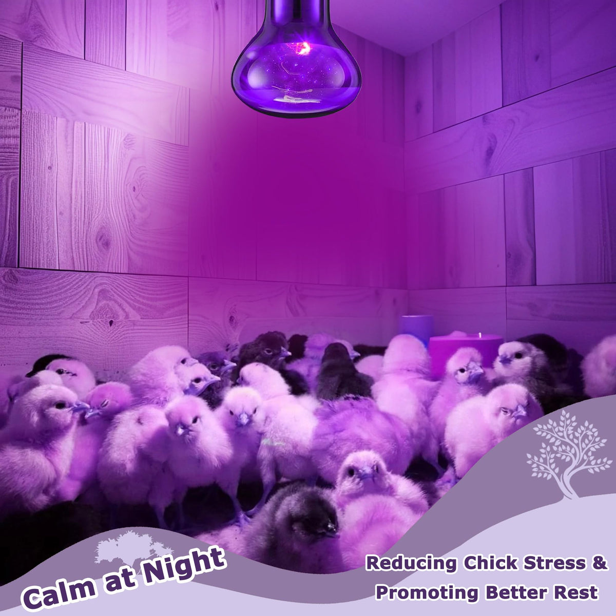 HARTOMPET Light Bulb in 60W - 2.5", Purple