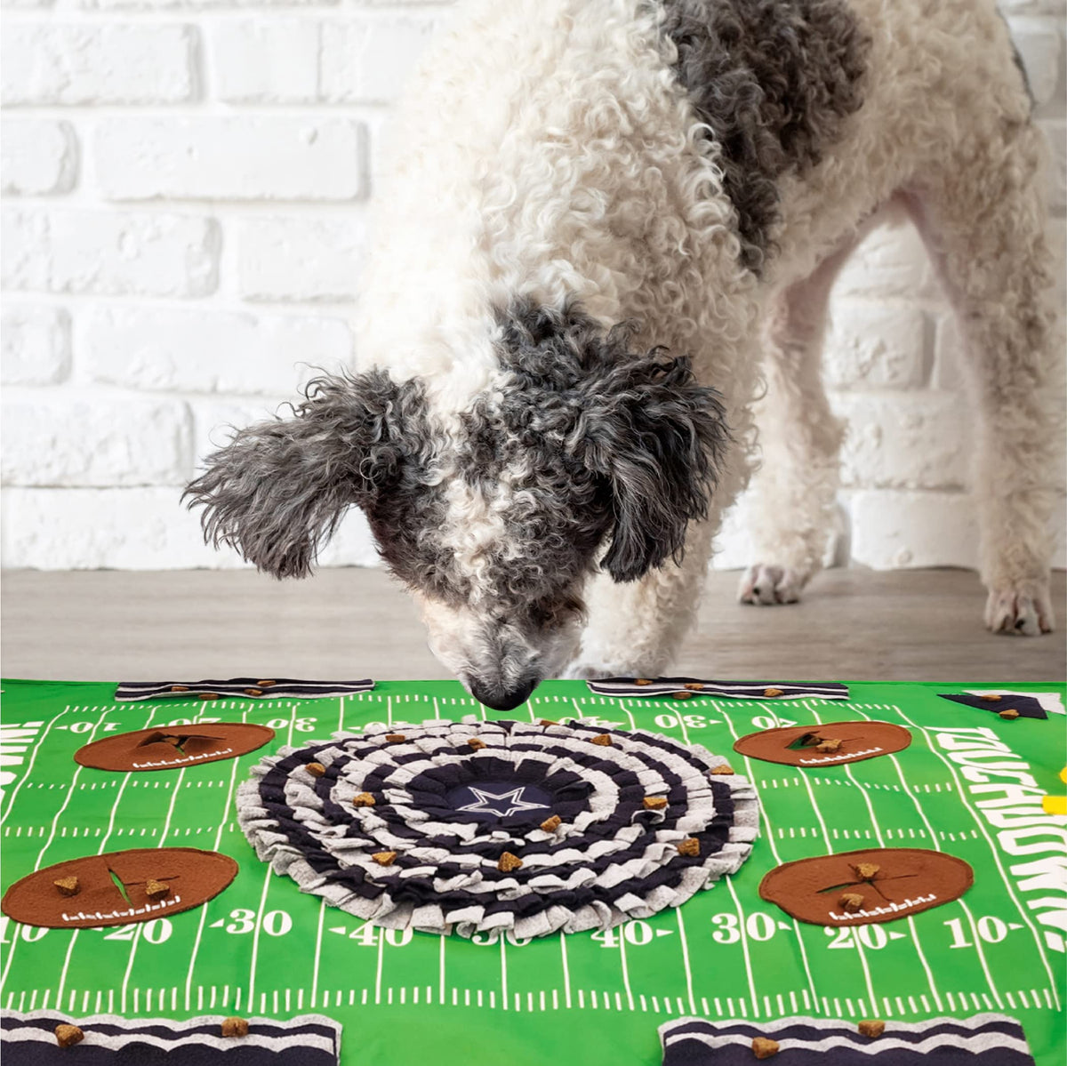 Pets First Pet Feeder in Dallas Cowboys