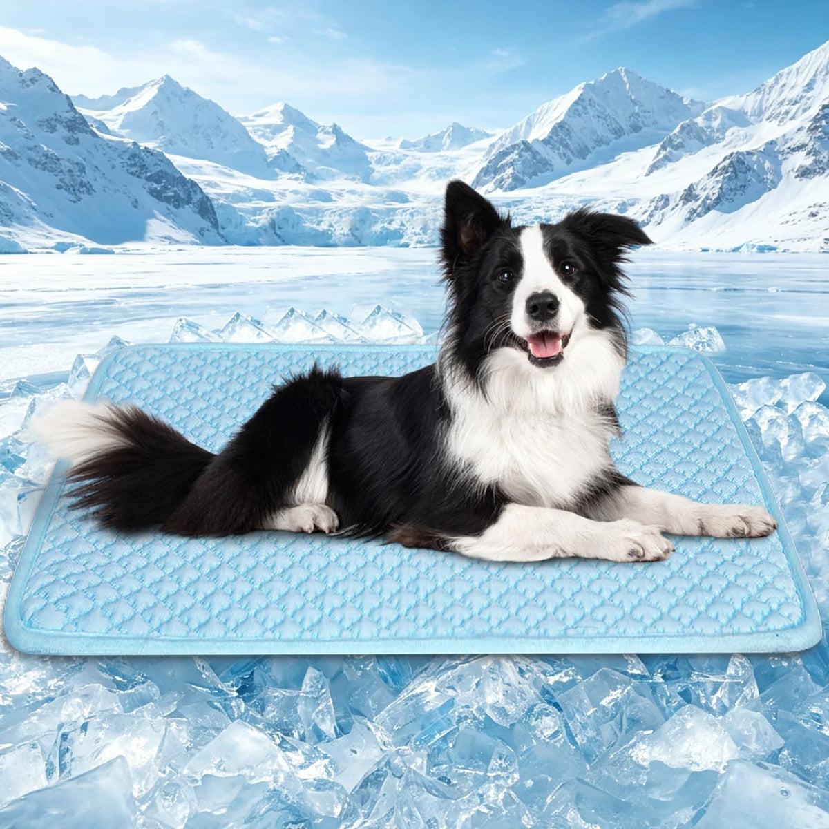 SOMOYA Pet Bed Mat in Large, Blue