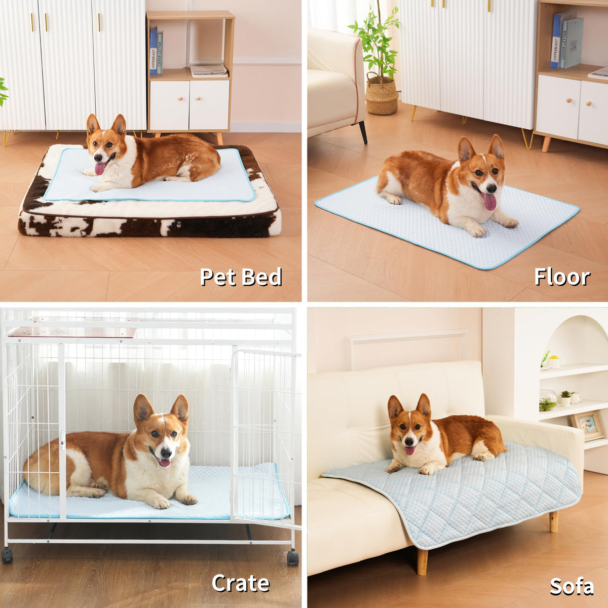 Petvolve Pet Bed Mat in X-Large - 44 x 32 Inch, Sky Blue