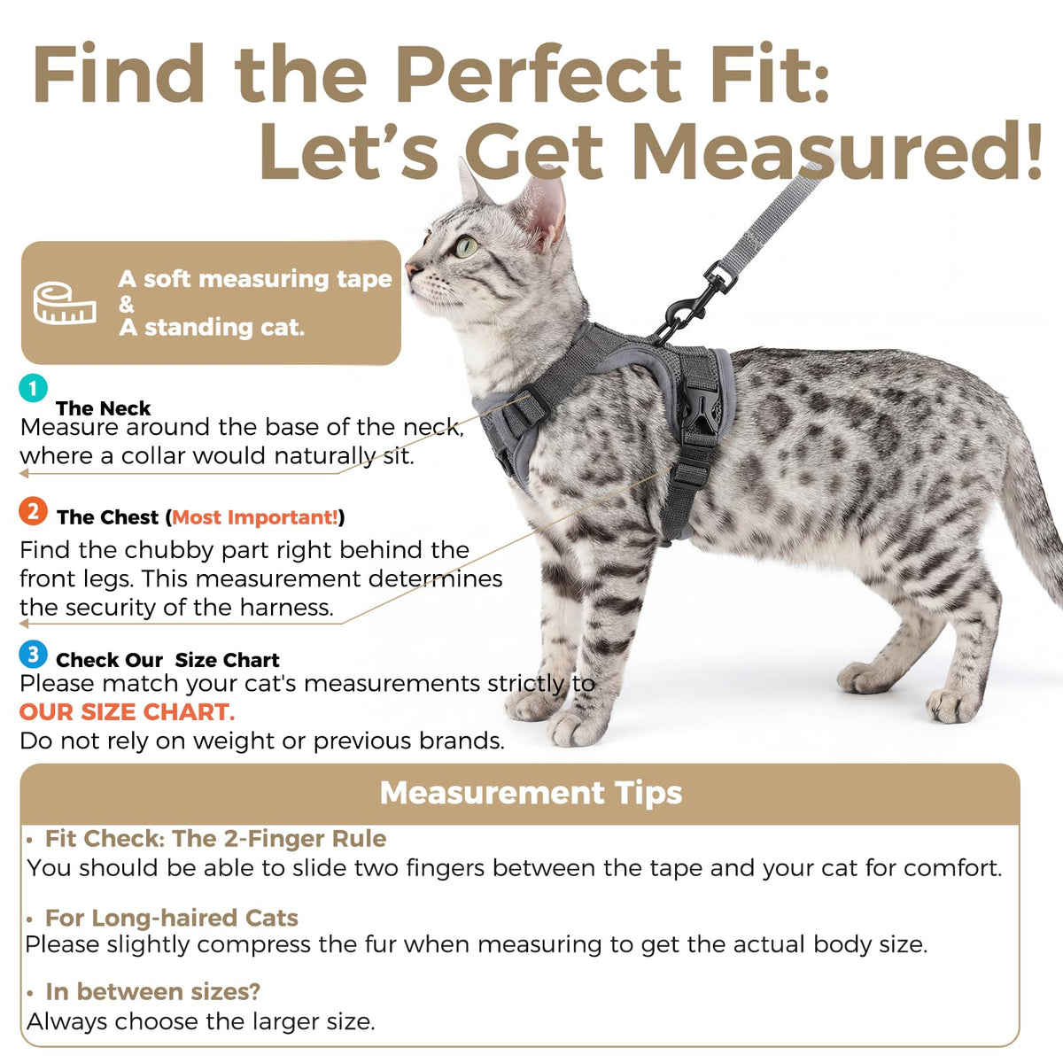 pangdi Animal Harness in Small, Grey