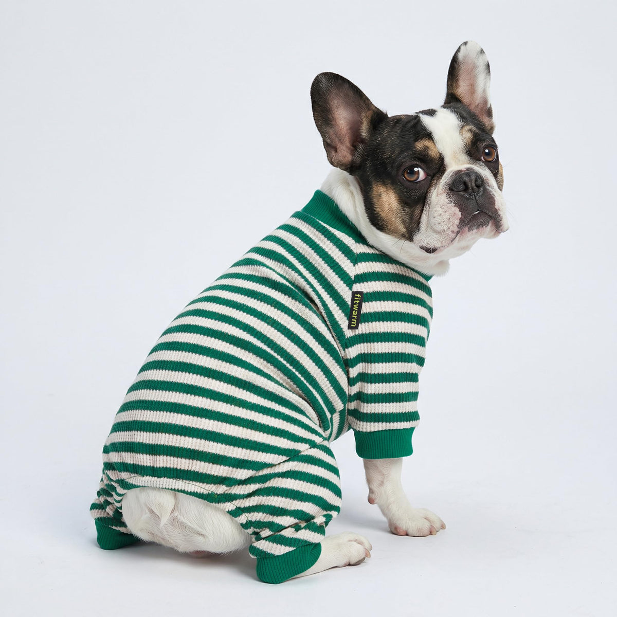 Fitwarm Pet Apparel in X-Small, Green
