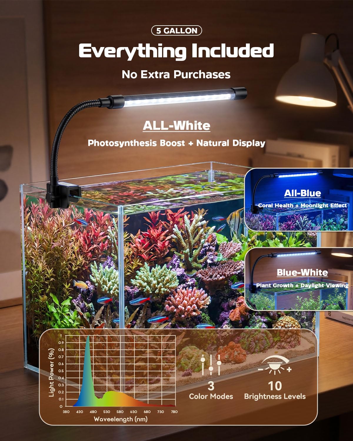minilake Vivarium in 5 Gallon, Transparent
