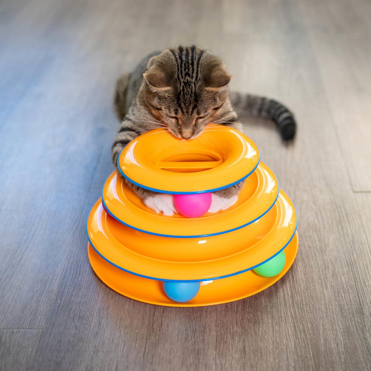 Catstages Pet Toy in One-Size, Replacement Balls