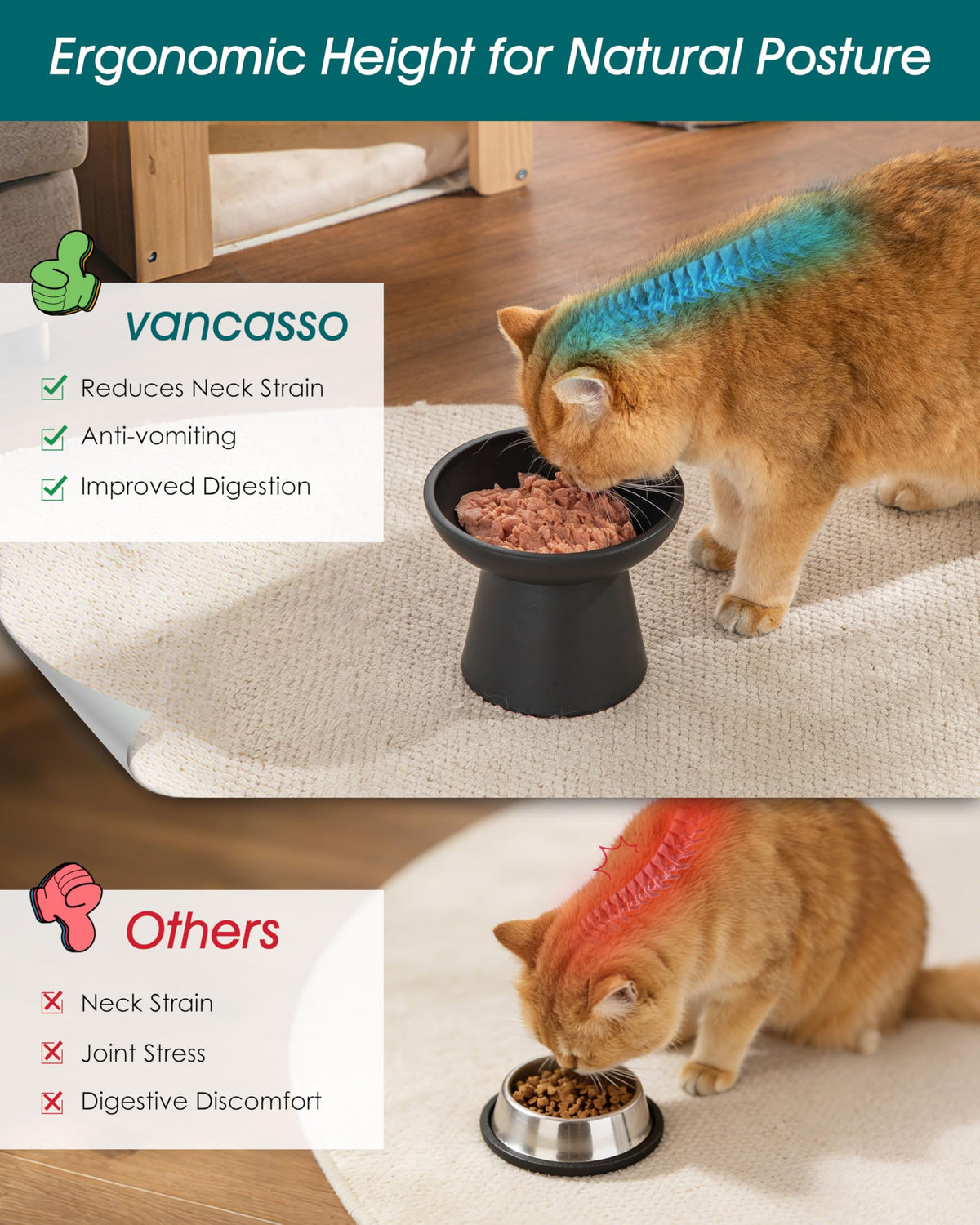 vancasso Pet Feeder in Black