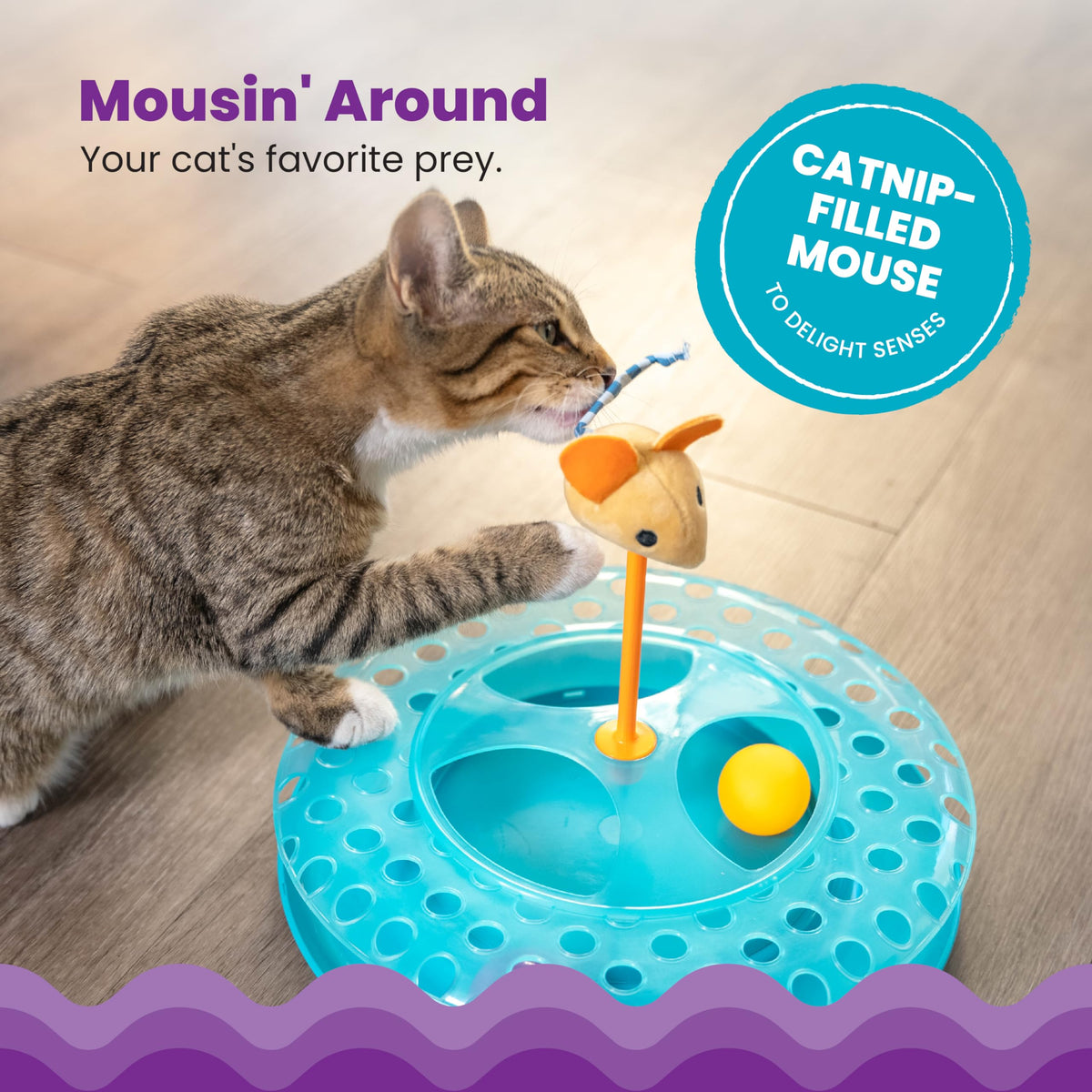 Catstages Pet Toy in One-Size, Cheese Chase