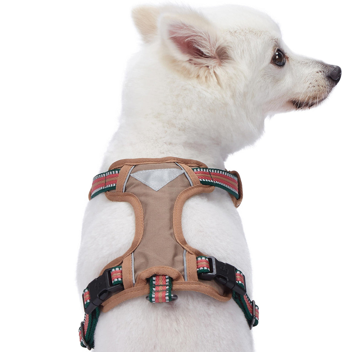 Blueberry Pet Animal Harness in Small, Dark Green&Pink