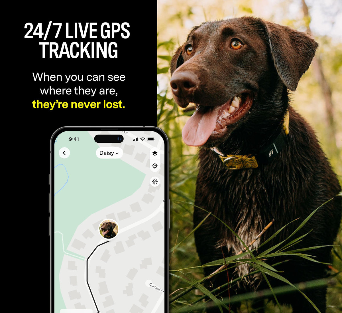 Fi Location Tracker in X-Small, Blue - Old Version