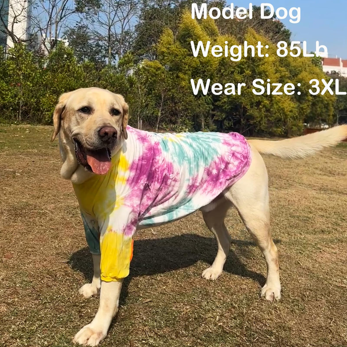 PriPre Pet Apparel in Large, Yellow