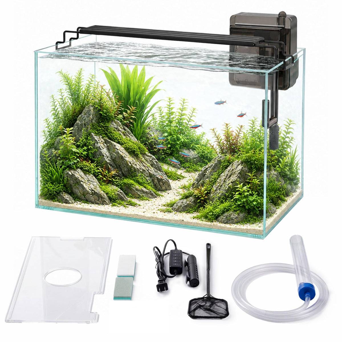 minilake Vivarium in 10 Gallon, Transparent