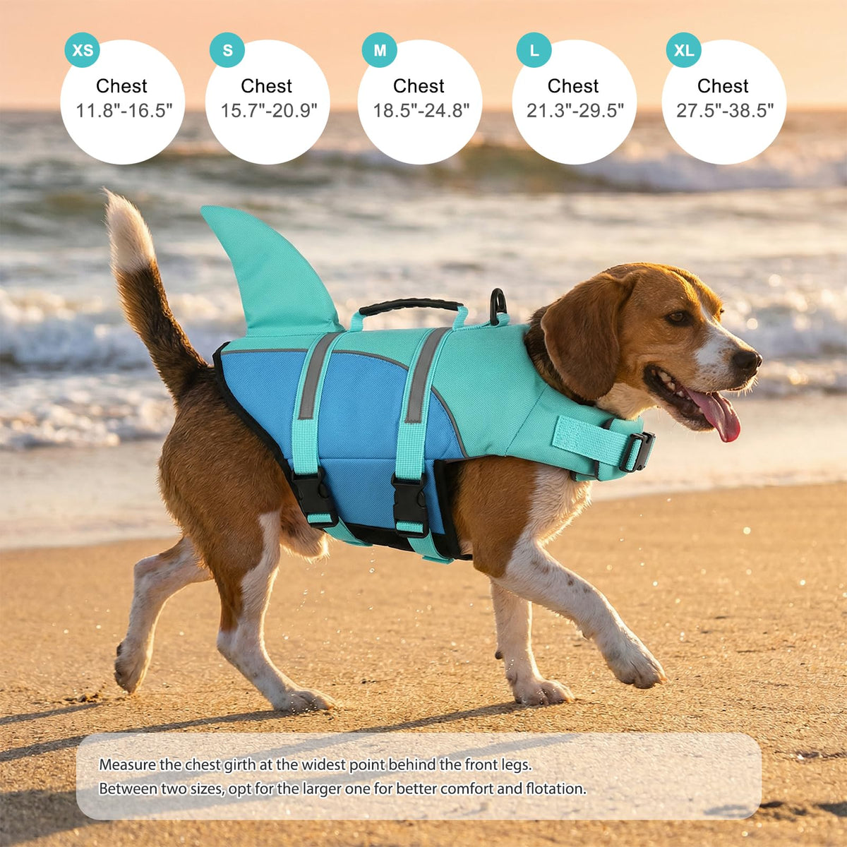 Doglay Pet Apparel in Small, Turquoise & Blue