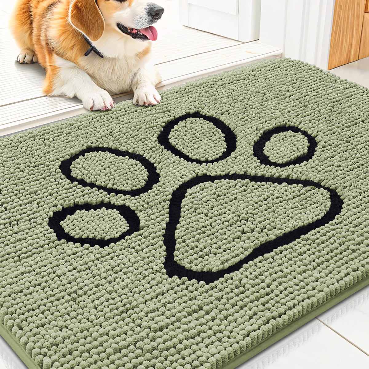 Smiry Rug in 30"X20", Sage Green and Black