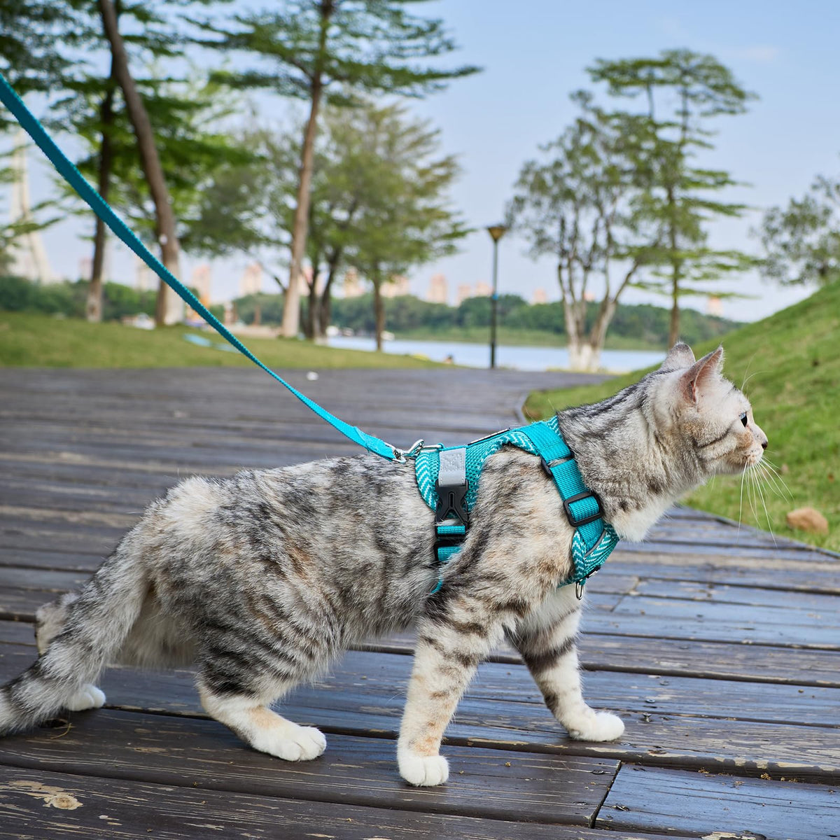pangdi Pet Supplies in Small, Turquoise