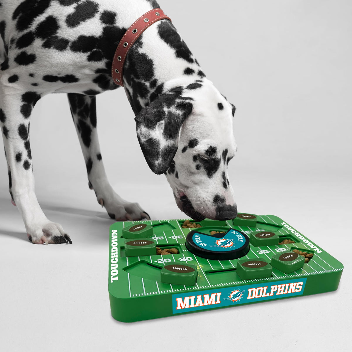 Pets First Pet Feeder in Large, MIAMI DOLPHINS