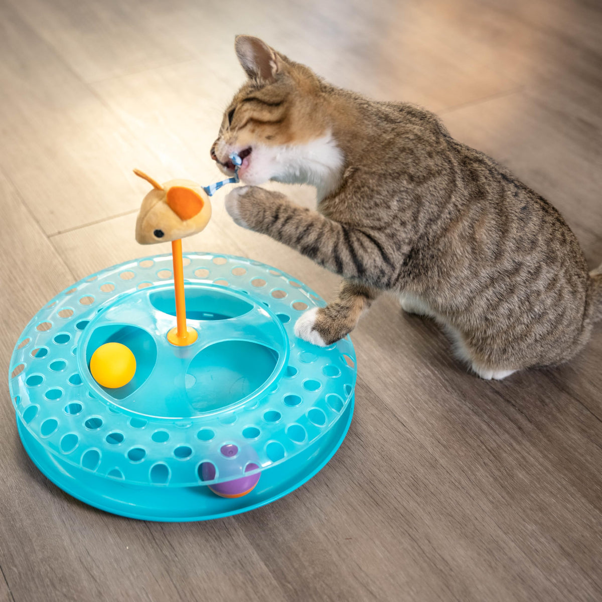 Catstages Pet Toy in One-Size, Cheese Chase