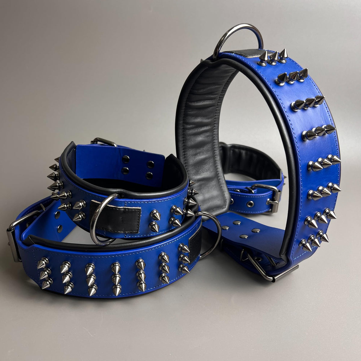 Molteriqo Animal Collar in M-neck 33-41cm, Blue