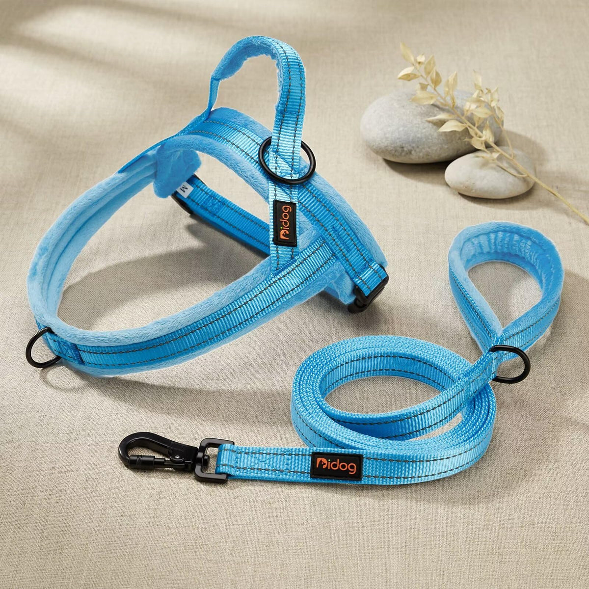 Didog Leash in 3/4''x 4 FT, Blue