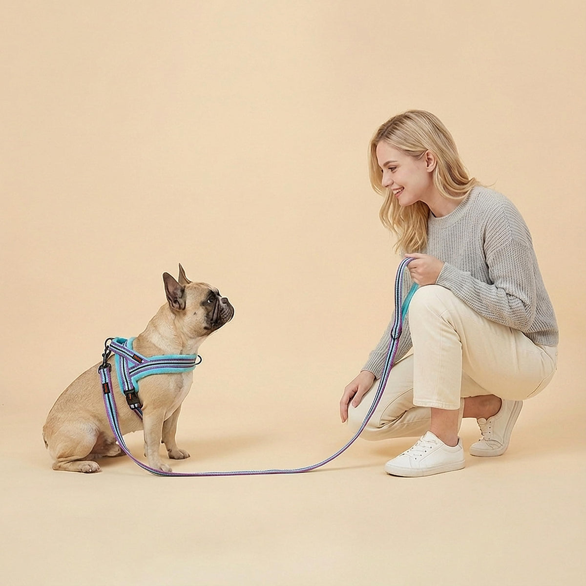 Didog Leash in 5/8''x 6 FT, Mixed-Blue