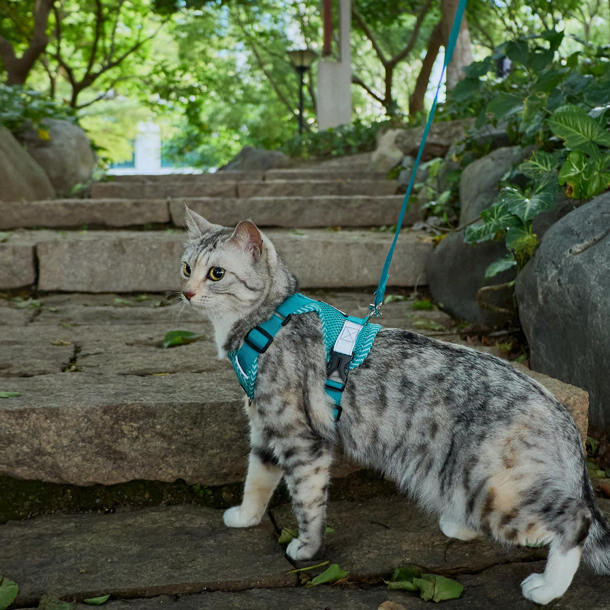 pangdi Pet Supplies in XX-Large, Turquoise