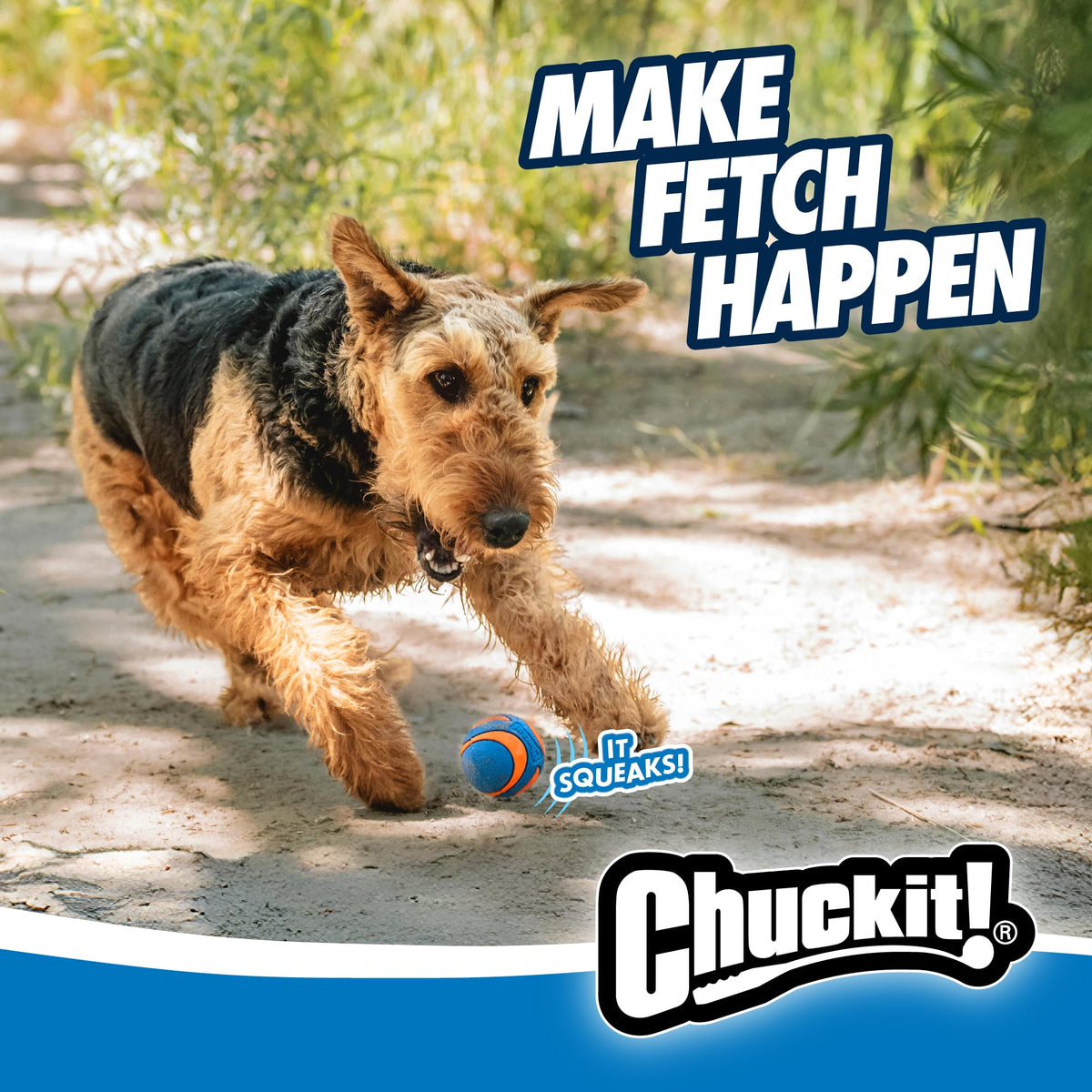 Chuckit! Pet Toy in Medium, Squeaker