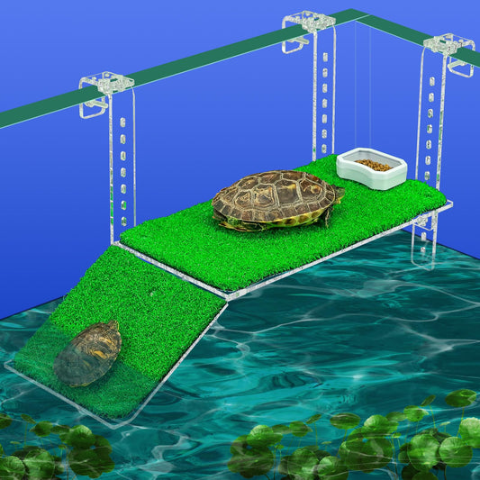 Bluecoco Animal Shelter in 13x6.9 Inch, Transparent