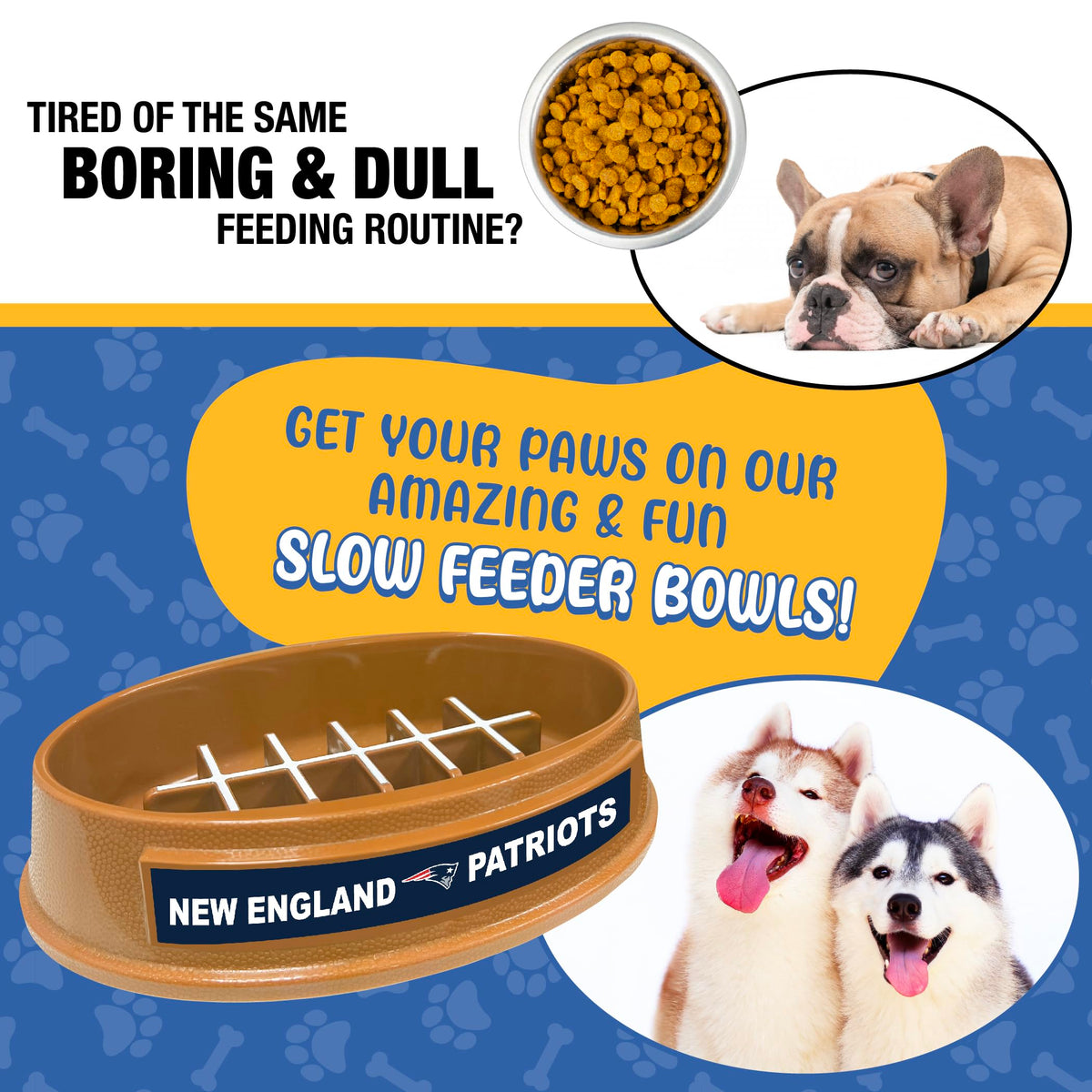 Pets First Pet Feeder in New England Patriots