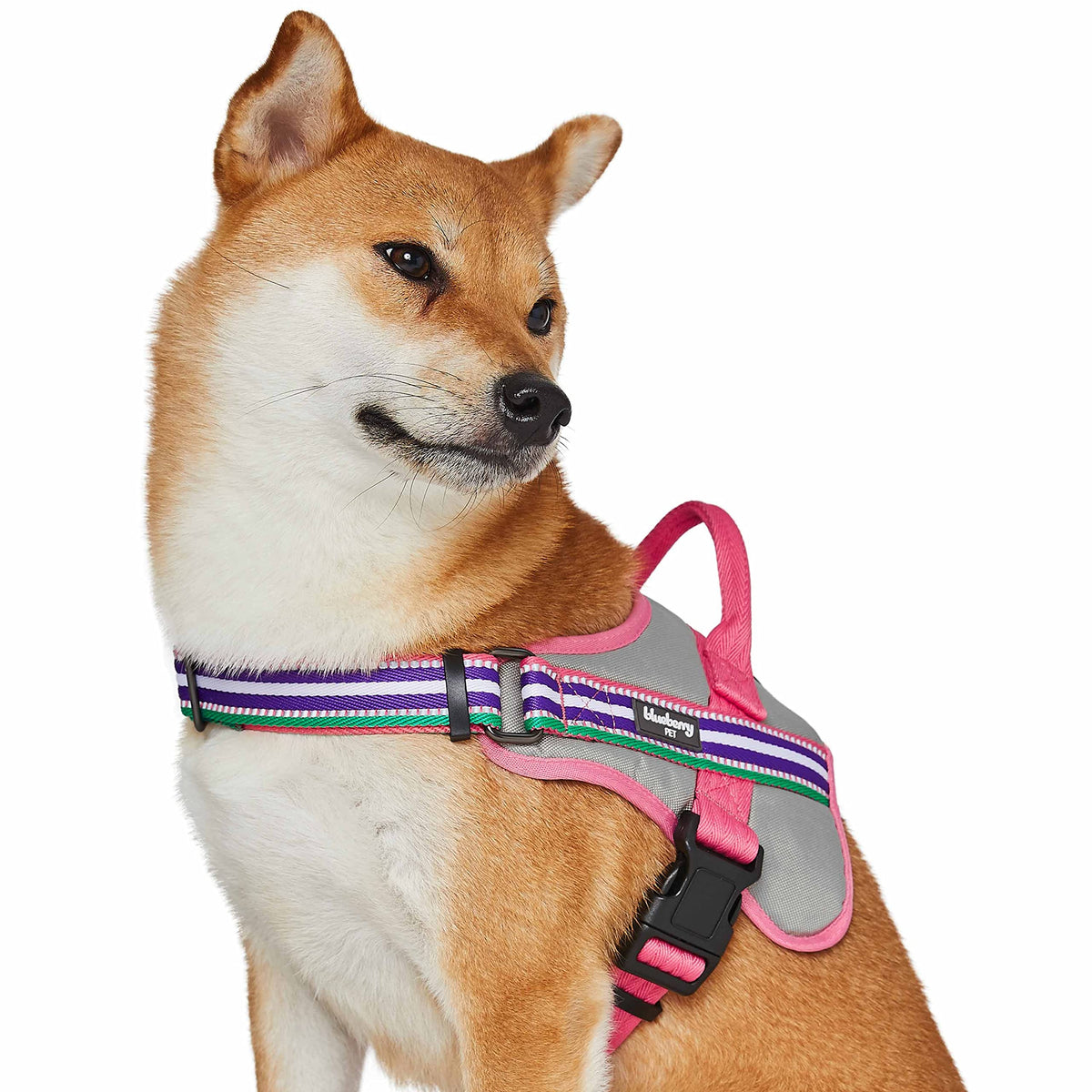 Blueberry Pet Animal Harness in Emerald,Orchid and Pink