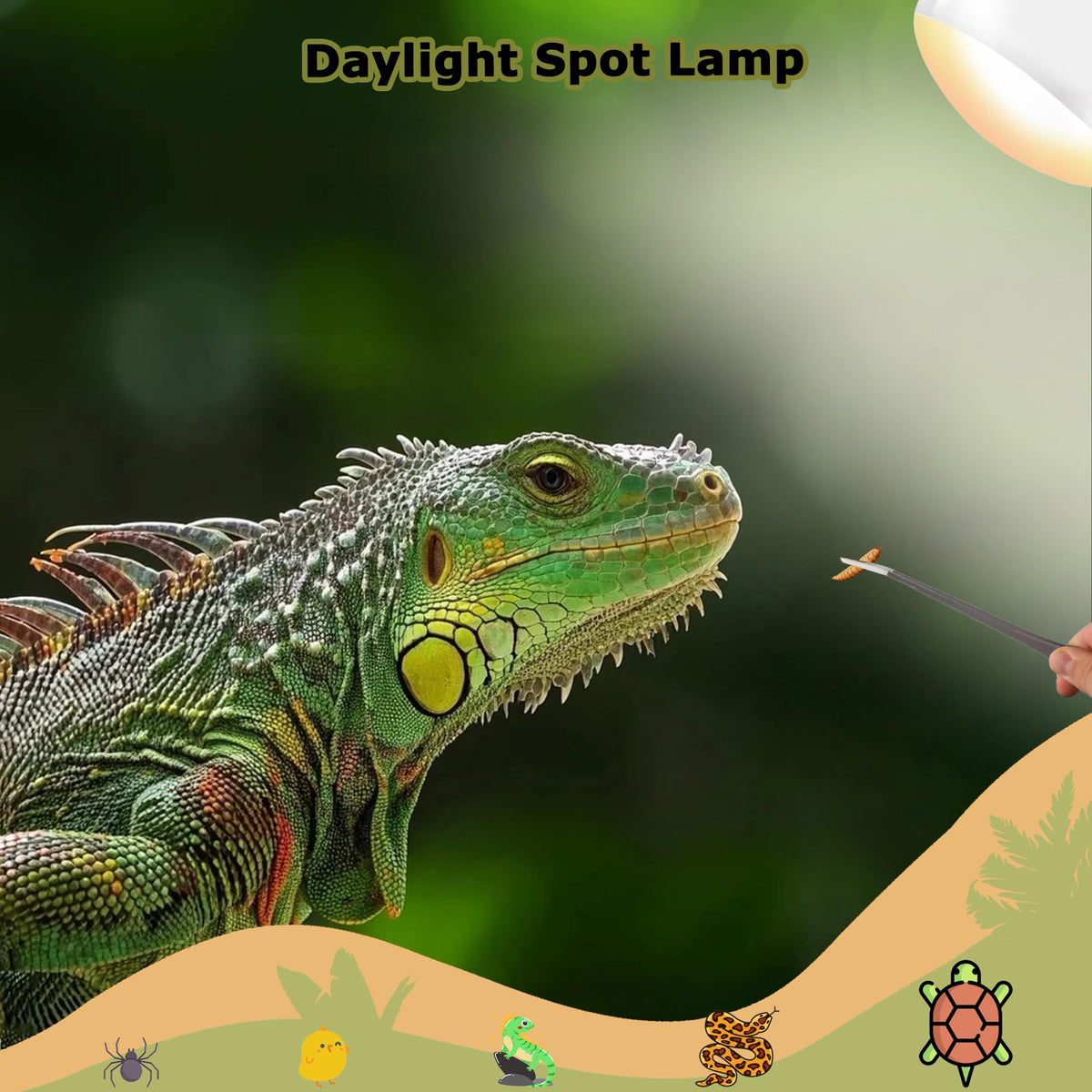 HARTOMPET Light Bulb in 60W - 2.5", Yellow