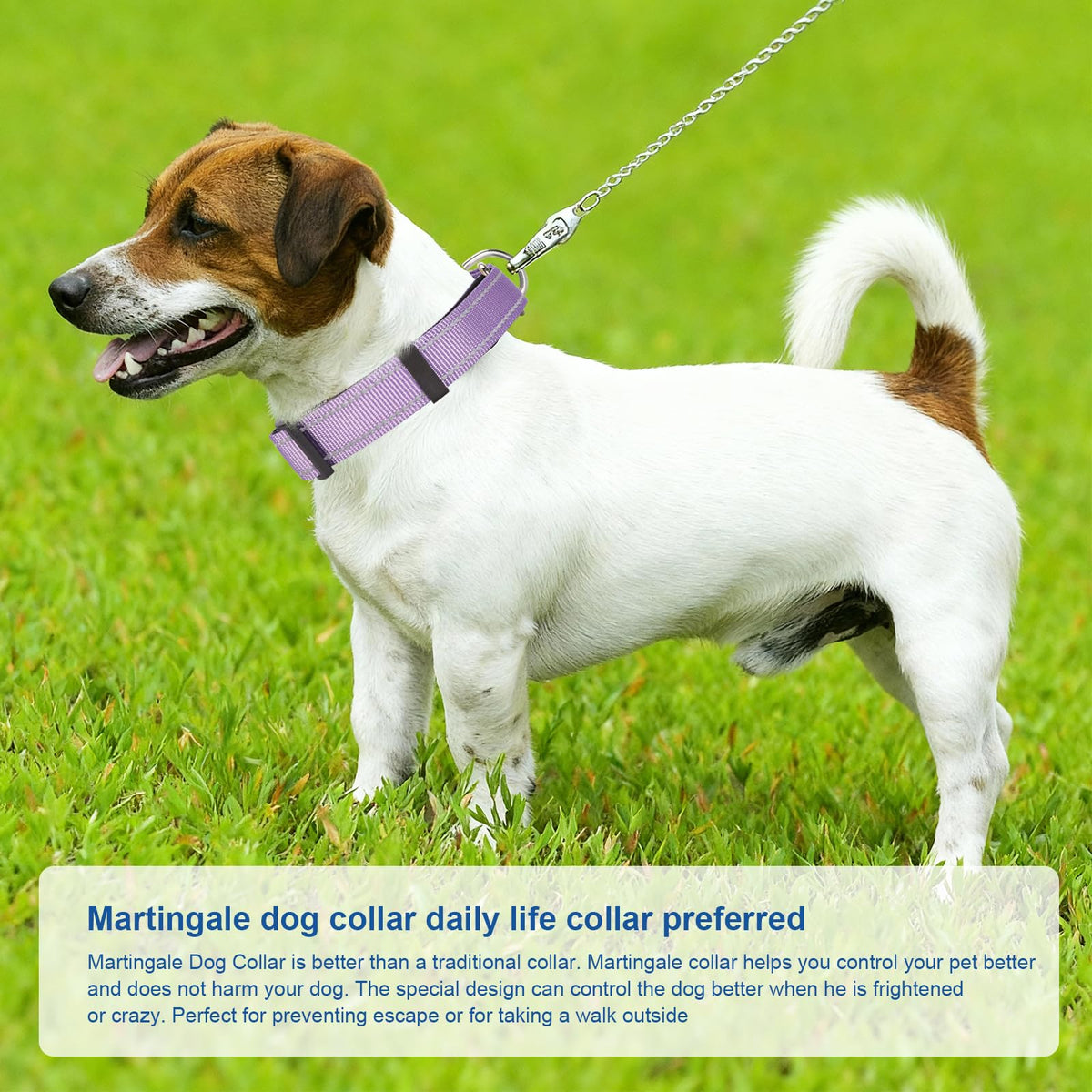 GDLKPS Animal Collar in S:1"Wind for 12.5"-15.5"Neck, Lavender