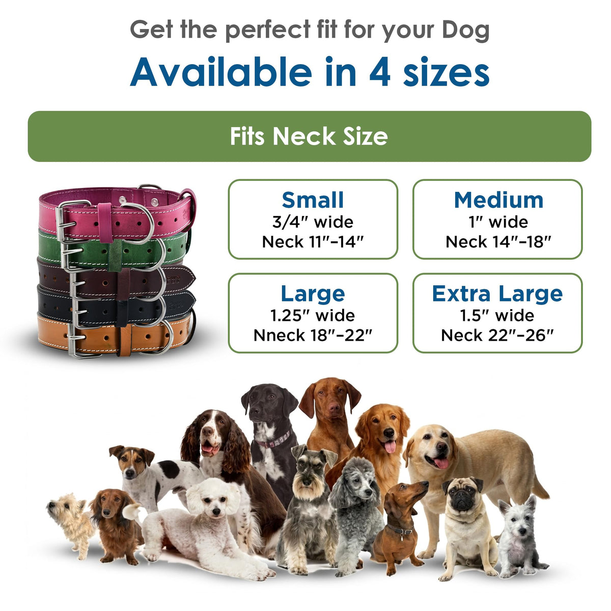 DowgClub Animal Collar in S (11"-14"), Green