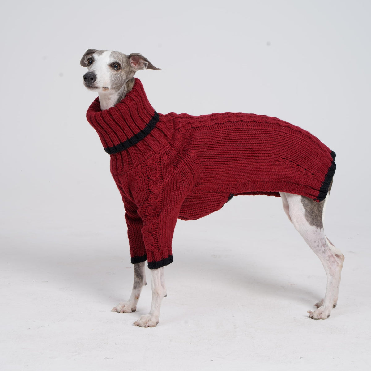 ESCCBOO Pet Apparel in Medium, Red
