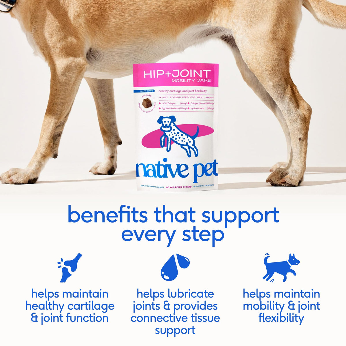 Native Pet Animal Nutritional Supplement in 60 Servings, Mobility Care