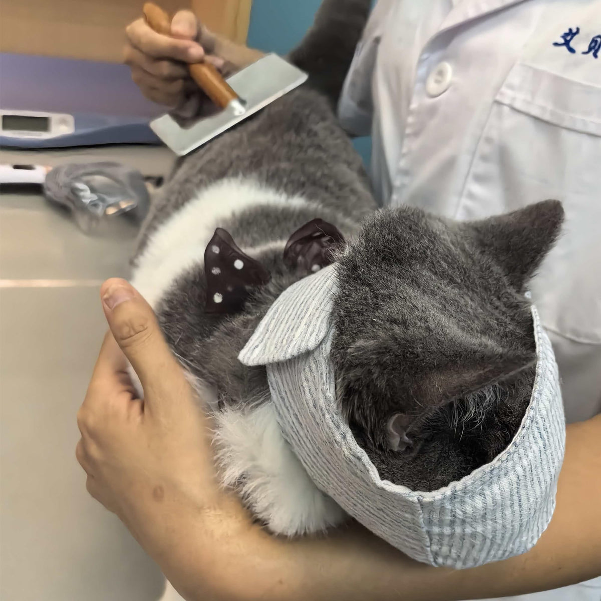 FDANDADE Pet Supplies in S, Cover-eyes