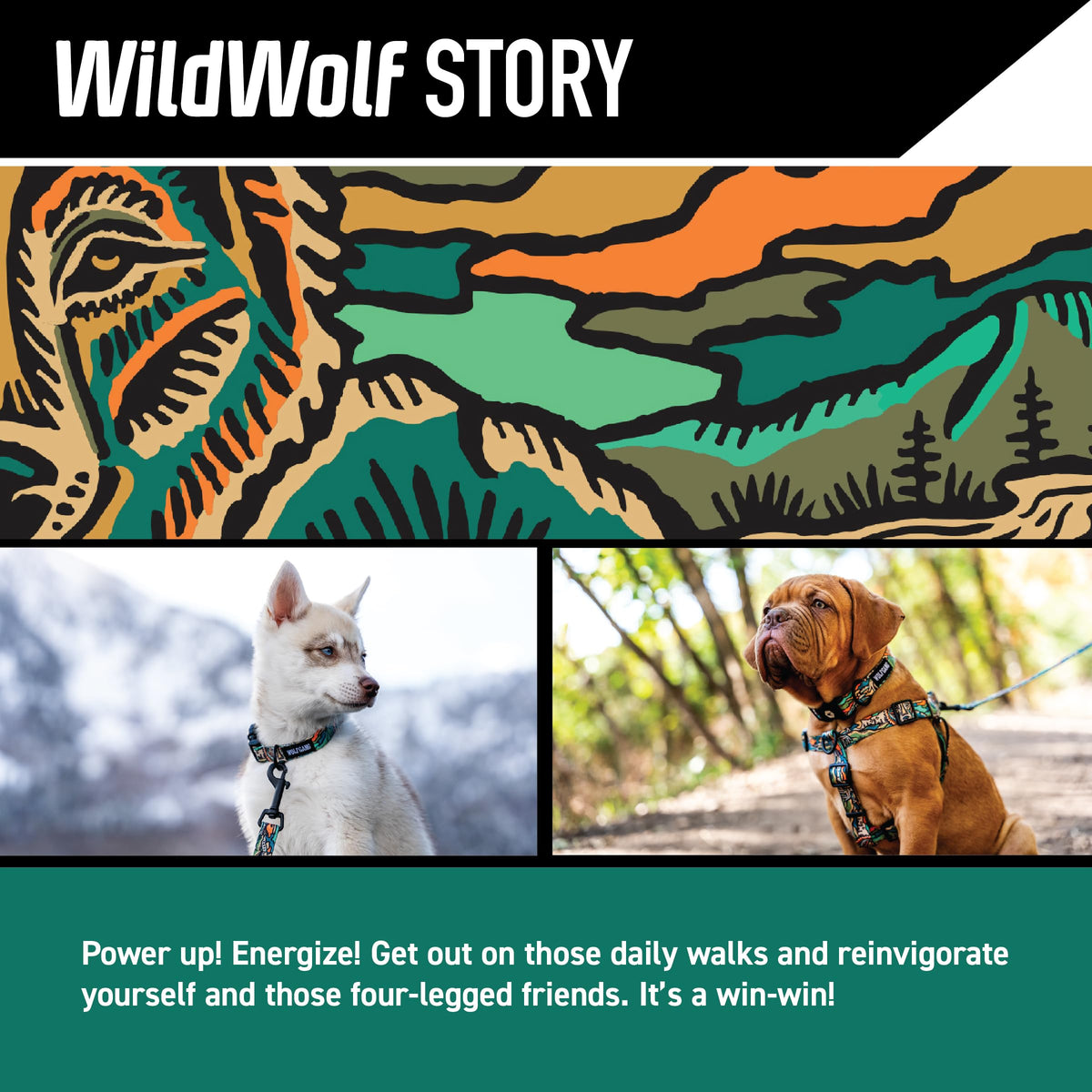 Wolfgang Man & Beast Animal Harness in Small (5/8 Inch x 12-18 Inch), WildWolf Print