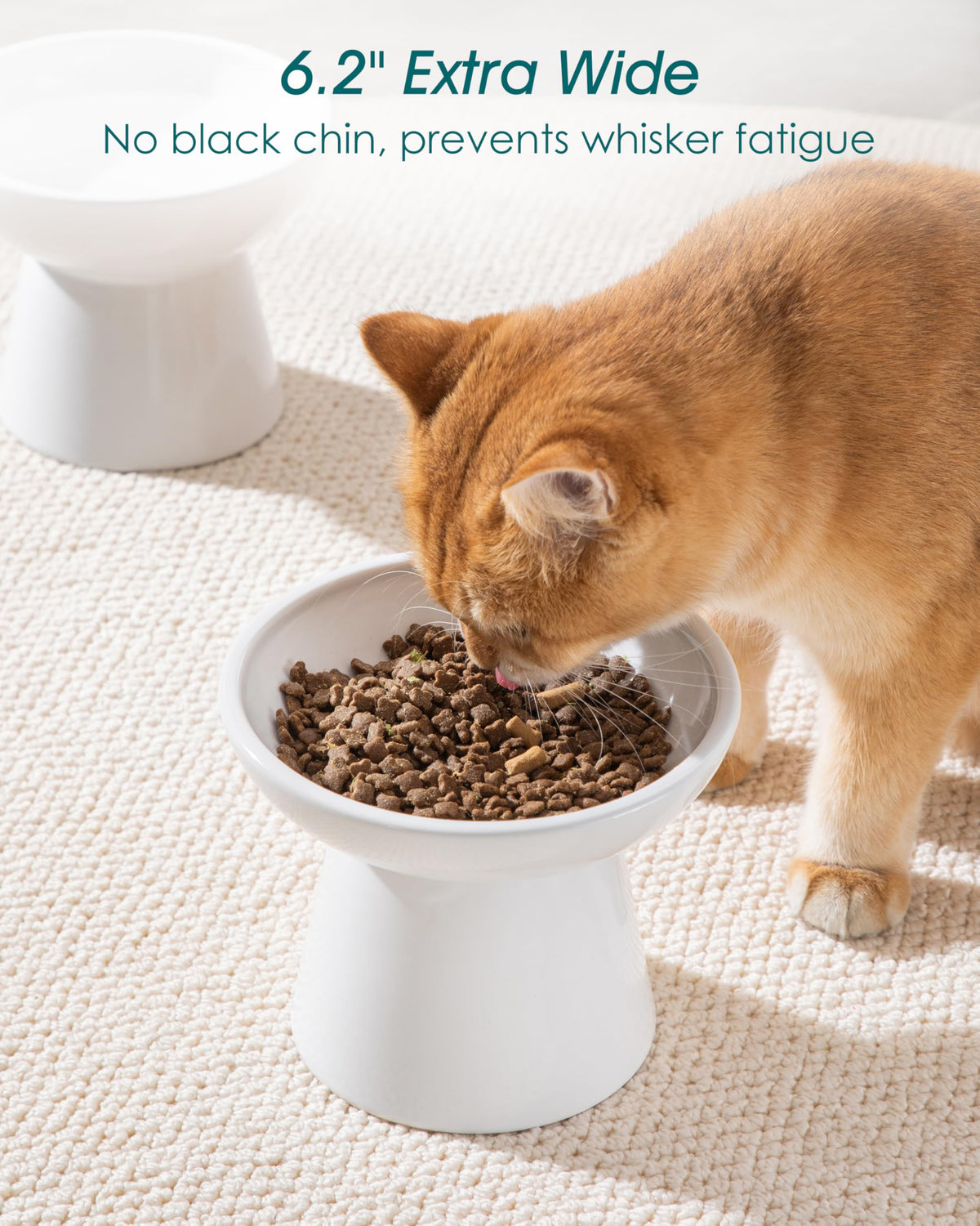vancasso Pet Feeder in 2 Pack-Food & Water Bowls, White