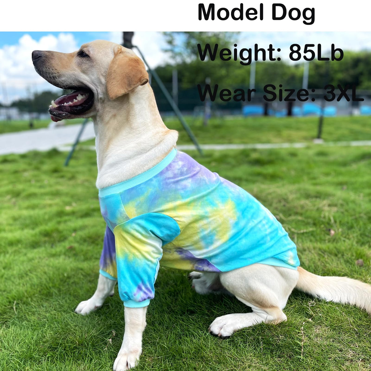 PriPre Pet Apparel in Medium, Blue