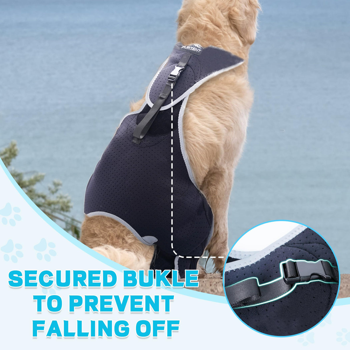 Furtent Pet Apparel in XS, black