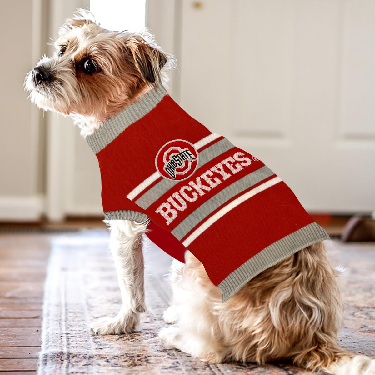 Pets First Pet Apparel in X-Small, Ohio State Buckeyes