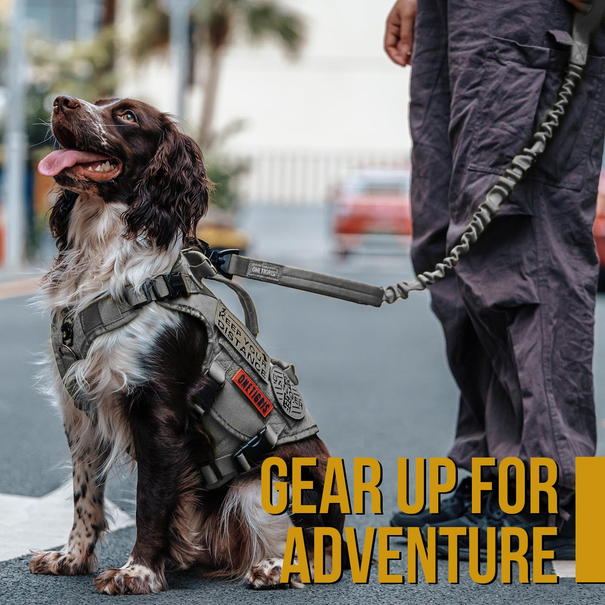 ONETIGRIS Leash in 85cm-118cm/33.5in-46.5in, Grey