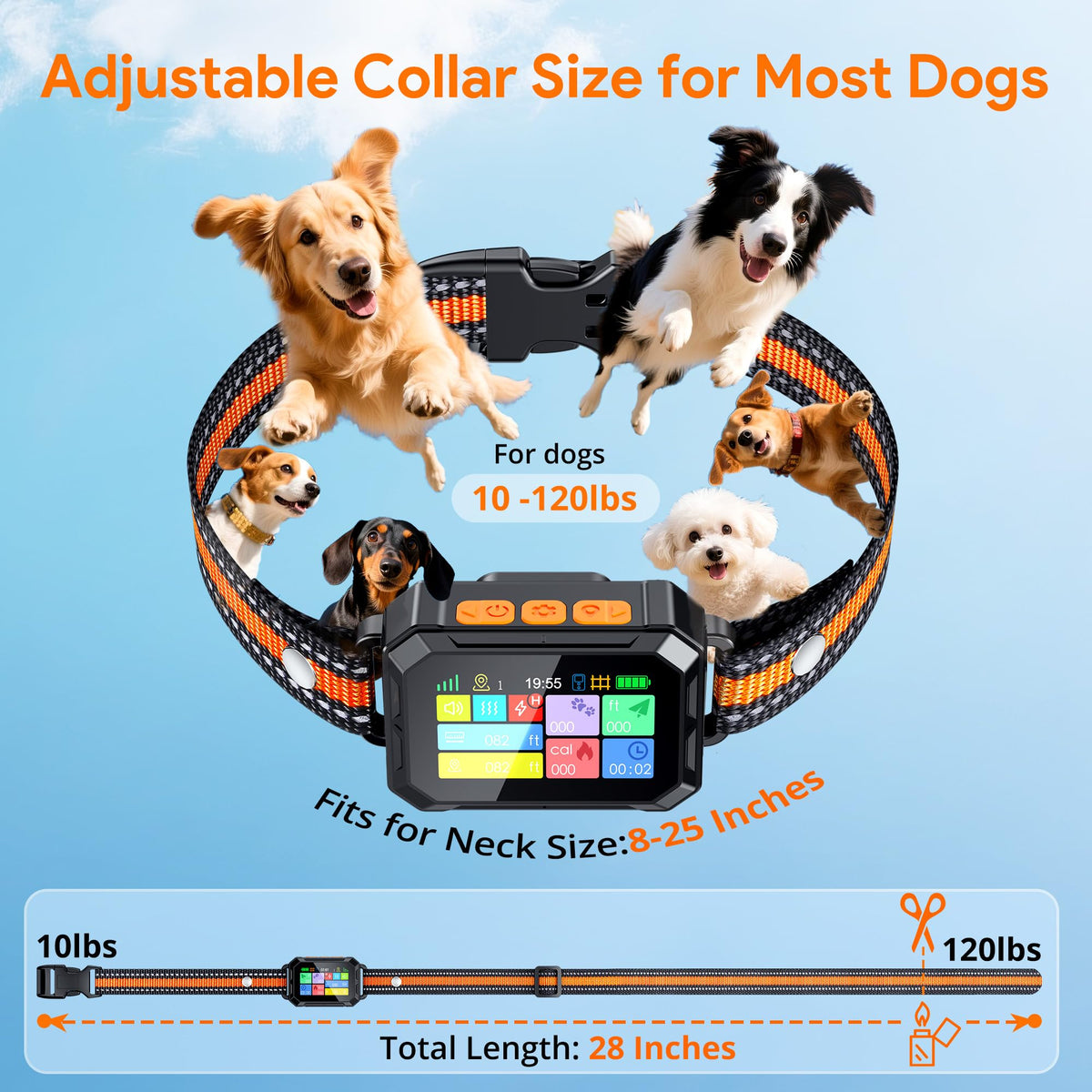 Meowant Animal Collar in Medium/Large, Orange