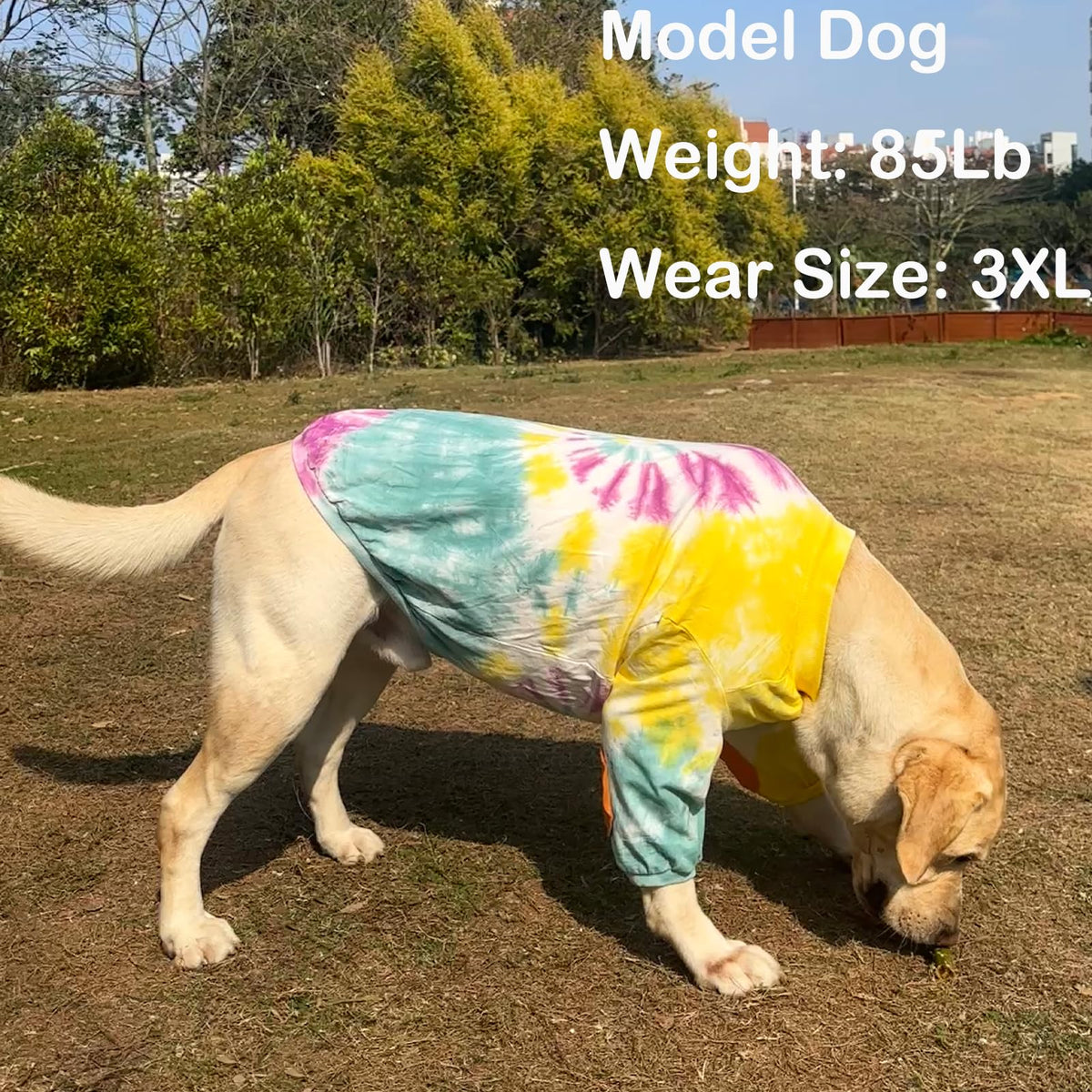 PriPre Pet Apparel in Large, Yellow