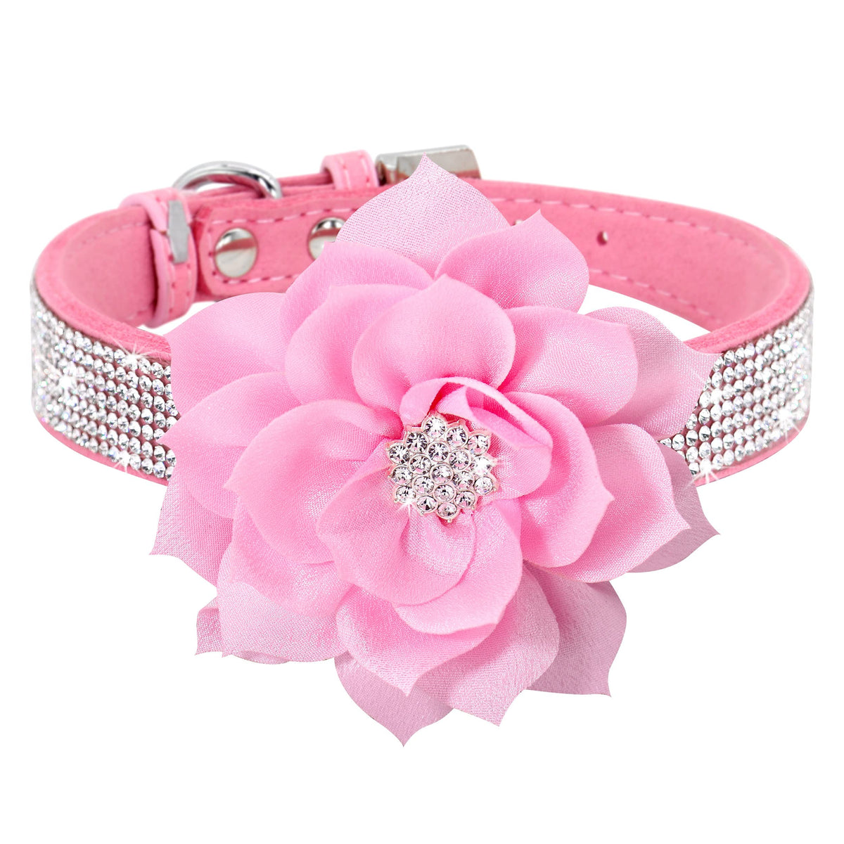 PET ARTIST Animal Collar in S:Neck 10-12"(7-15 lbs), Black