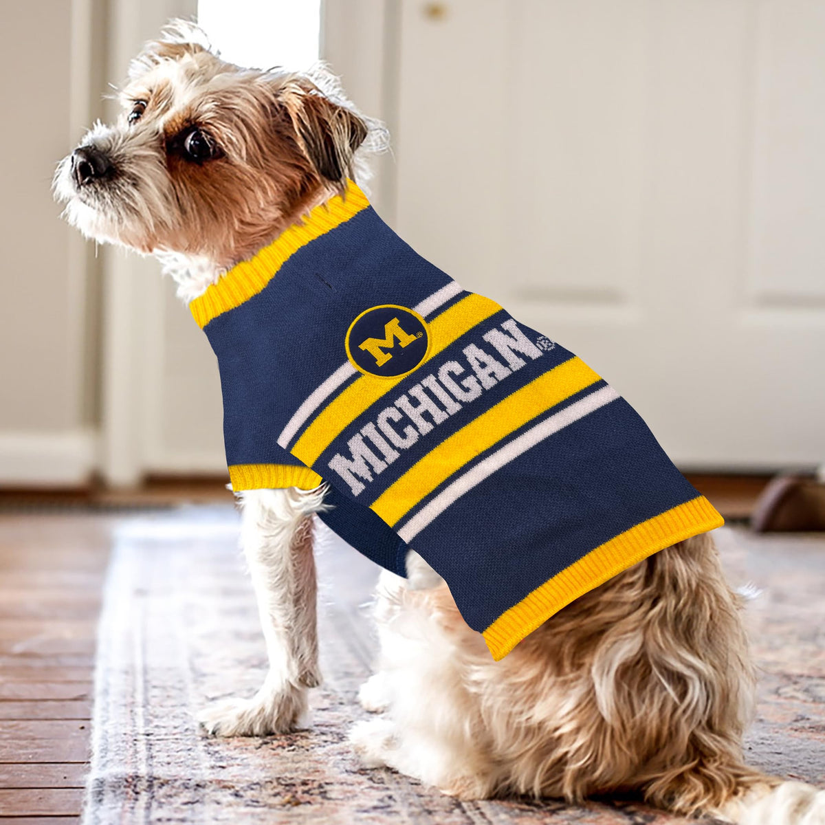 Pets First Pet Apparel in X-Small, Michigan Wolverines