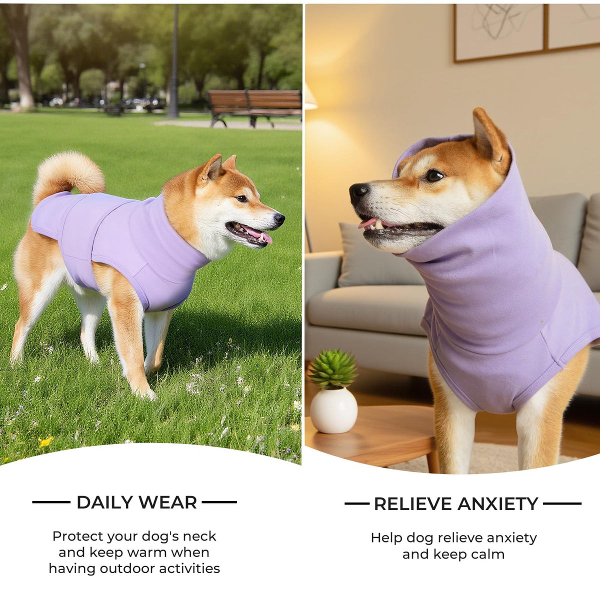 Haloumoning Pet Apparel in X-Small, Purple