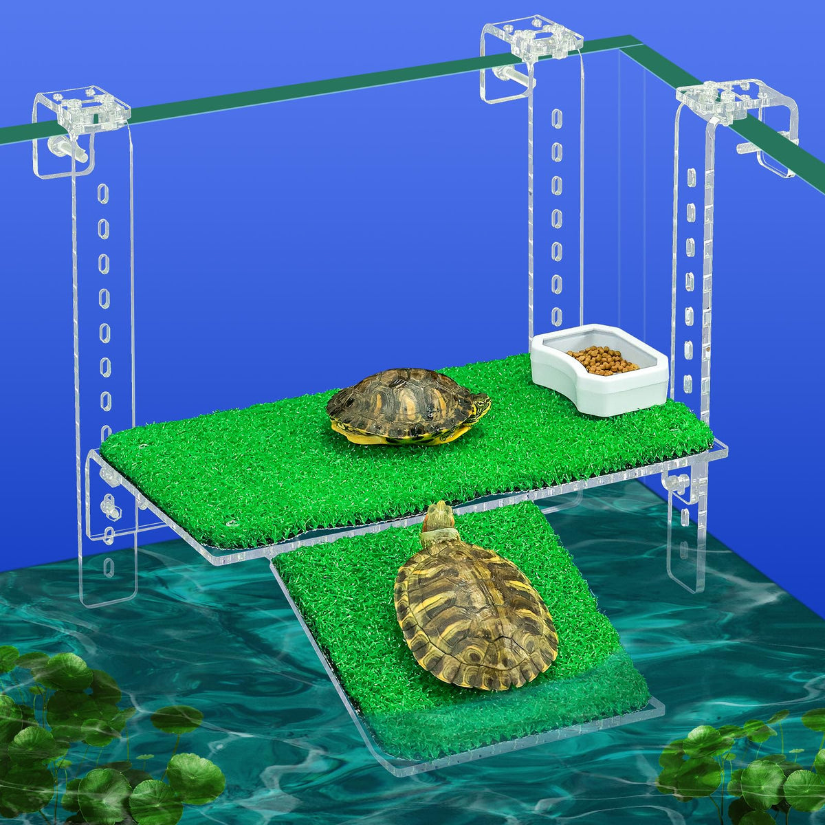 Bluecoco Animal Shelter in 10.8x5.9 Inch, Transparent